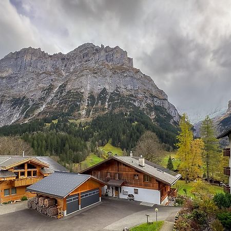 Chalet Ribi กรินเดลวัลด์ ภายนอก รูปภาพ
