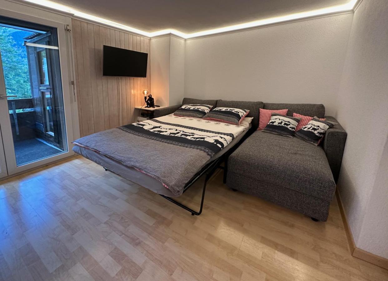 Chalet Ribi กรินเดลวัลด์ ภายนอก รูปภาพ