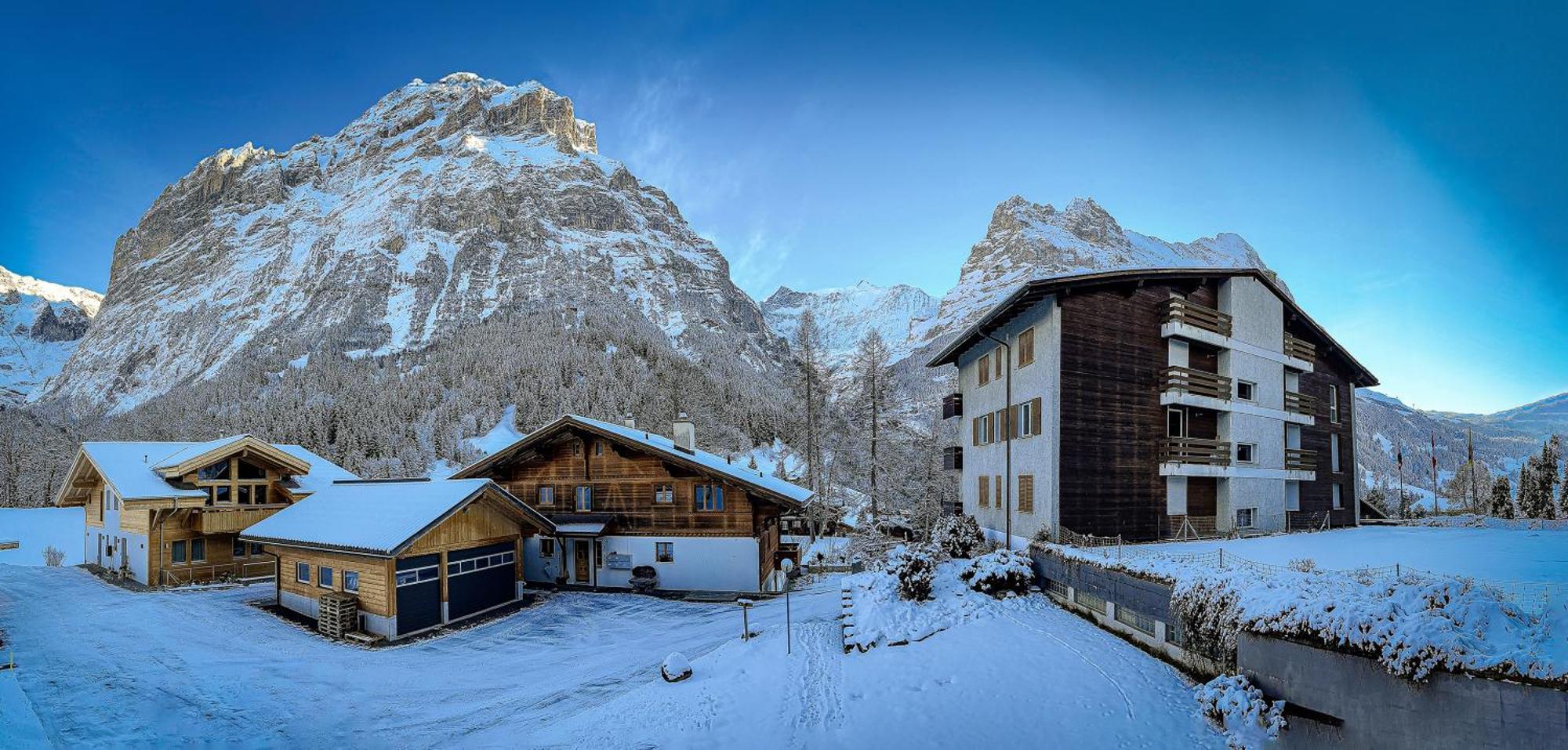 Chalet Ribi กรินเดลวัลด์ ภายนอก รูปภาพ