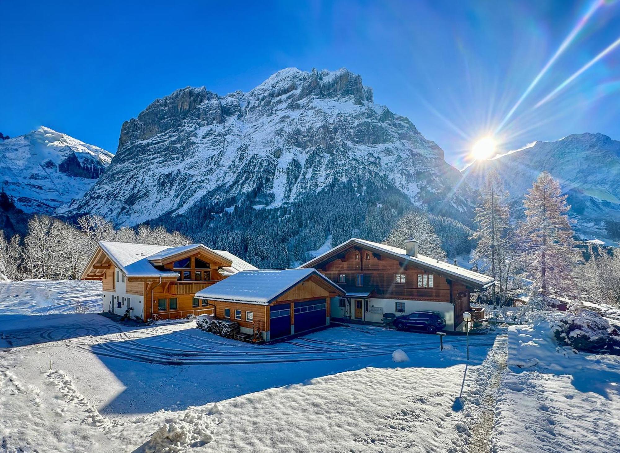 Chalet Ribi กรินเดลวัลด์ ภายนอก รูปภาพ
