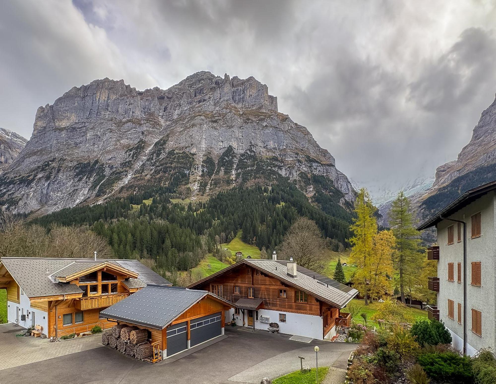 Chalet Ribi กรินเดลวัลด์ ภายนอก รูปภาพ